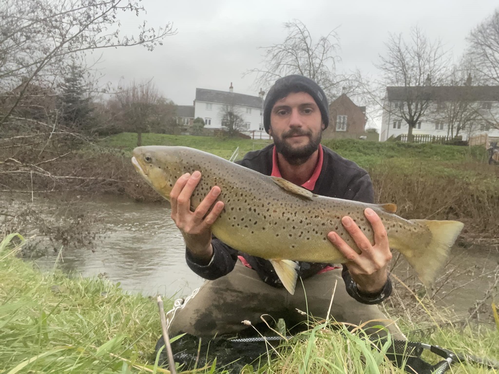 river monnow record trout