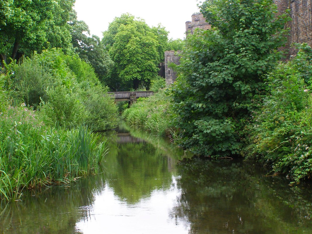 Cardiff dock feeder fishing