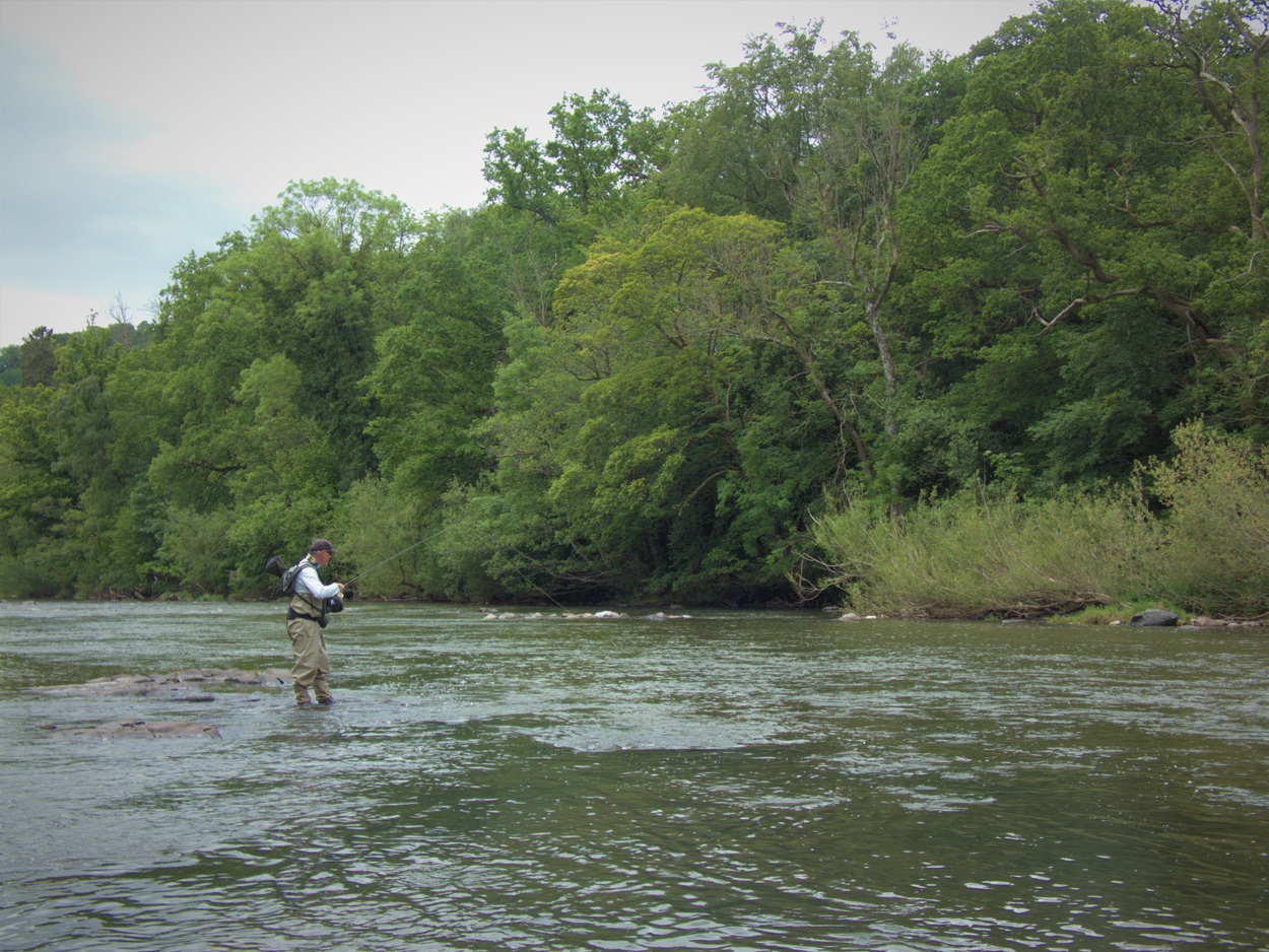 Welsh Rivers Await: The Thrill Of The Trout Fishing Season - Fishing In ...