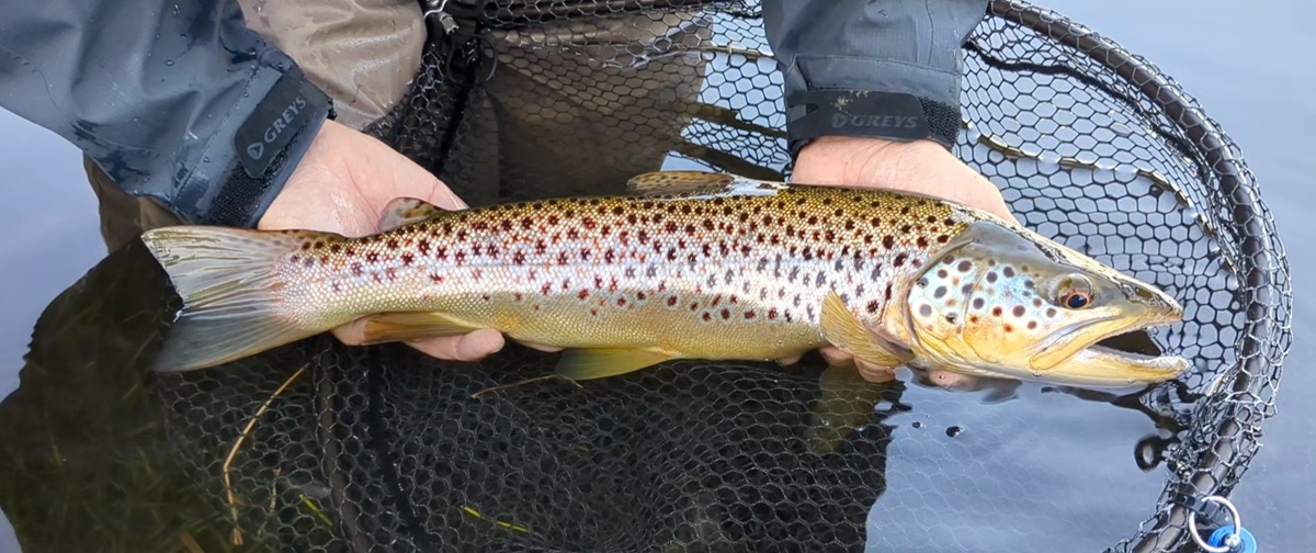 Welsh Trout Lakes Welcome Anglers in March! - Fishing in Wales