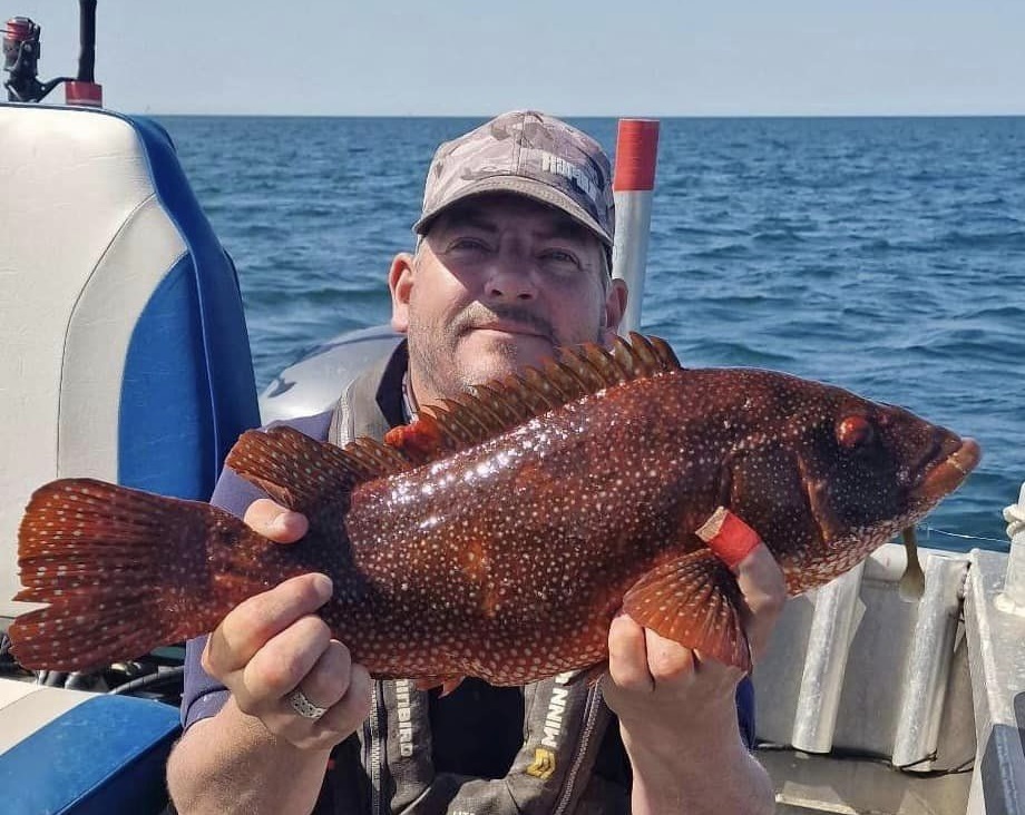 record wrasse Wales 