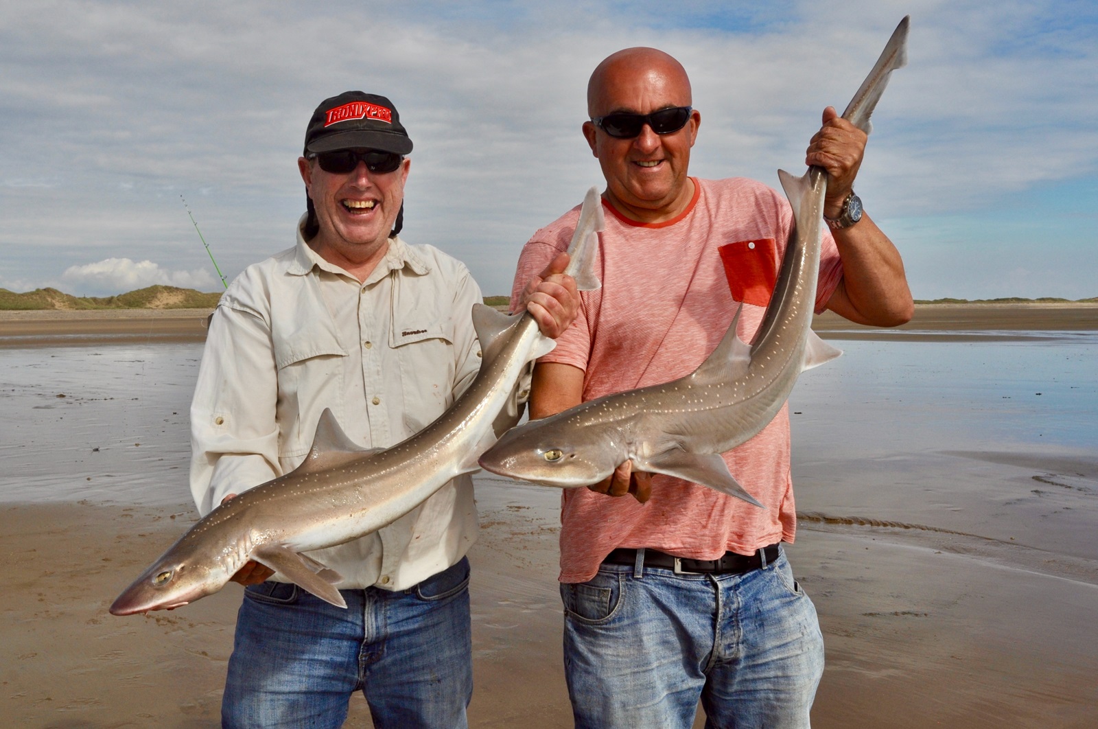 Smoothhound Fishing in Wales - Fishing in Wales