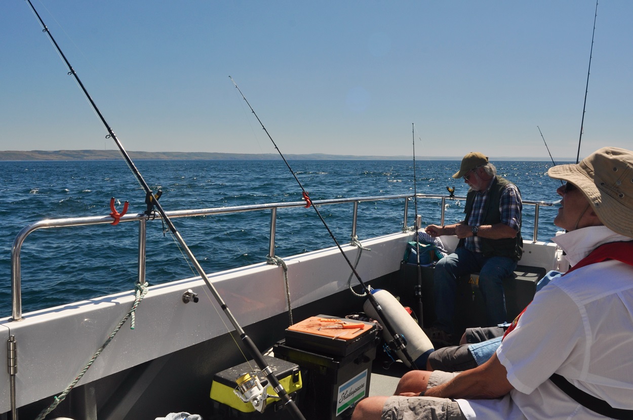 Summer Boat Fishing Trips - Fishing in Wales