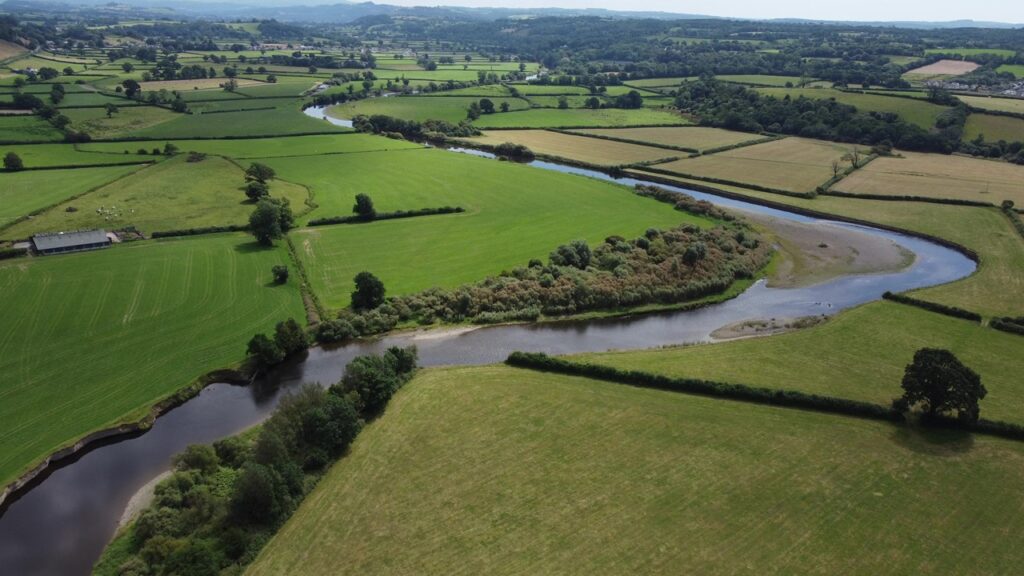 Carmarthen and District