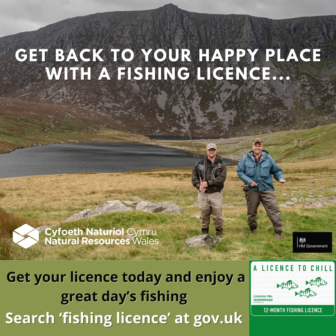 Small Stillwater trout fisheries in Wales - Fishing in Wales