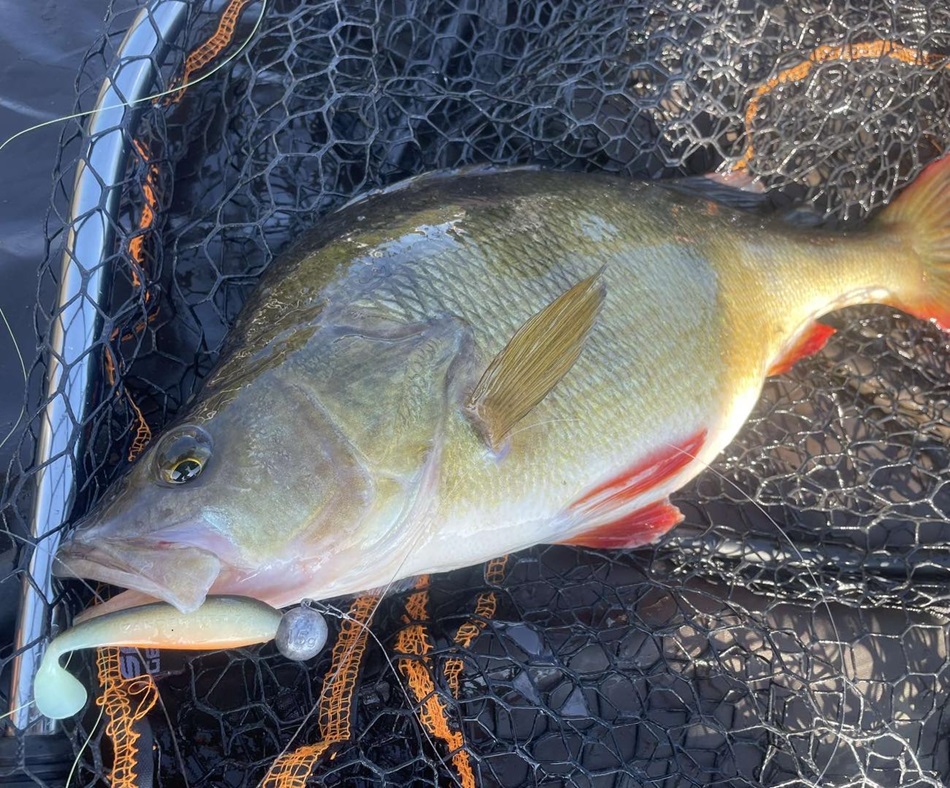 big perch cardiff bay