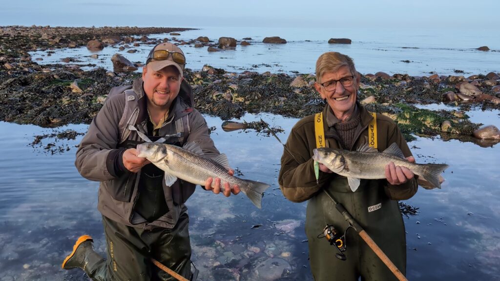 bass lure fishing wales cardigan bay