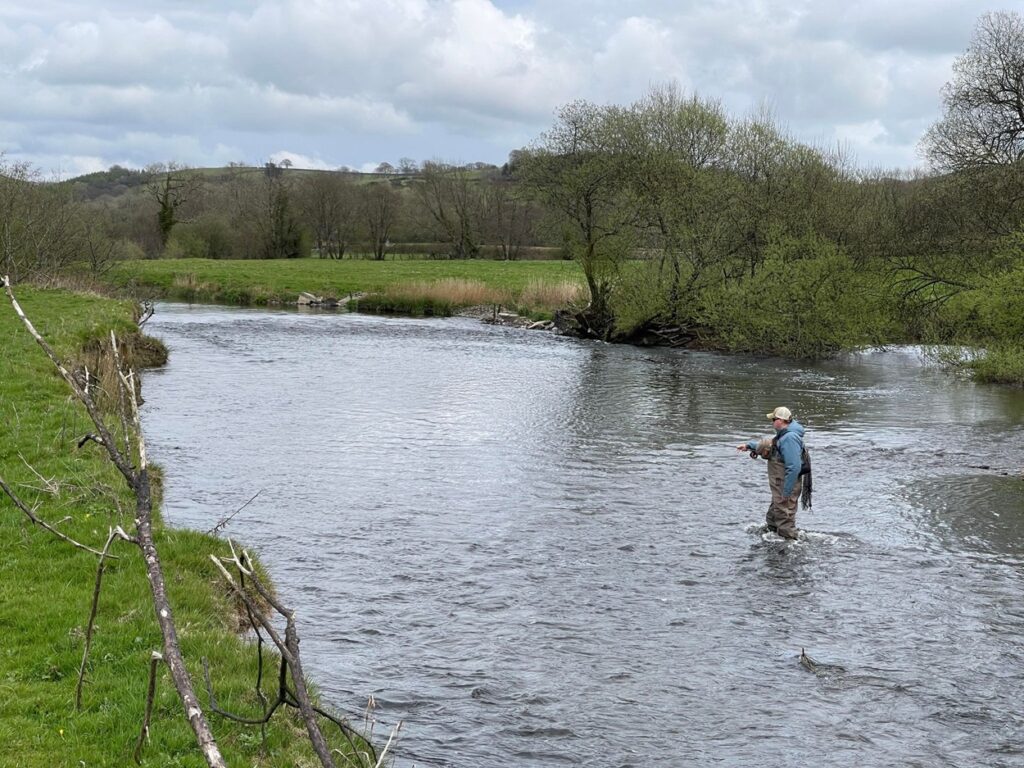 river teifi fishing