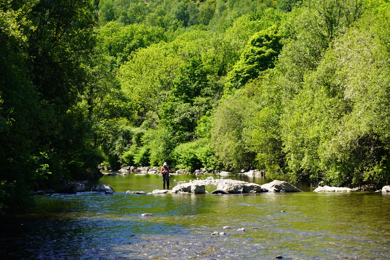 afan valley fishing club