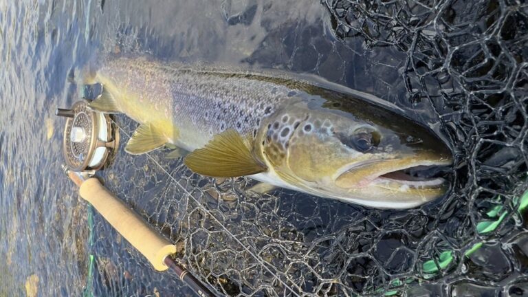 Game Fishing Catch Reports - Fishing in Wales