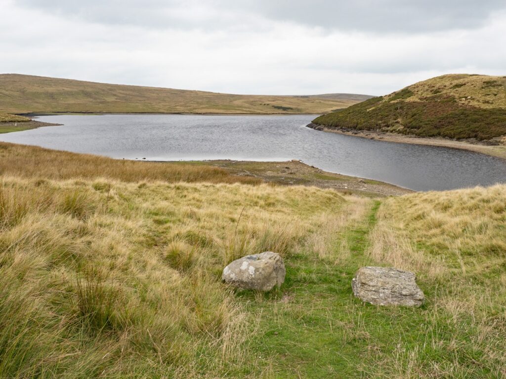 llyn aled isaf fishing