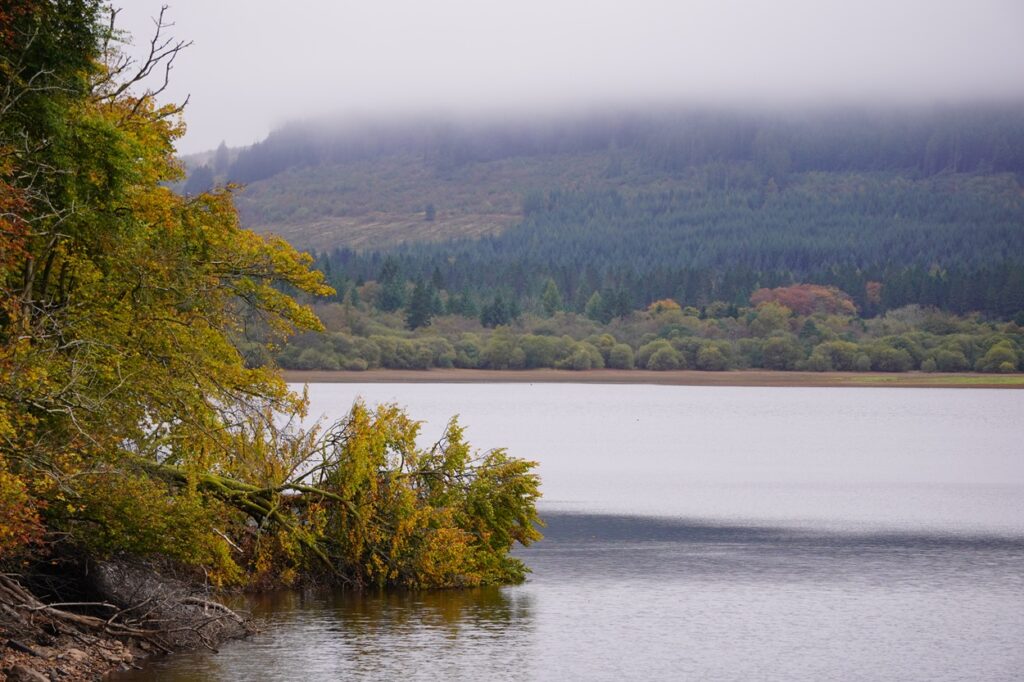 October fishing in Wales