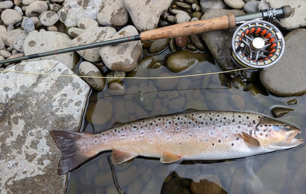 river fly fishing tips Wales 